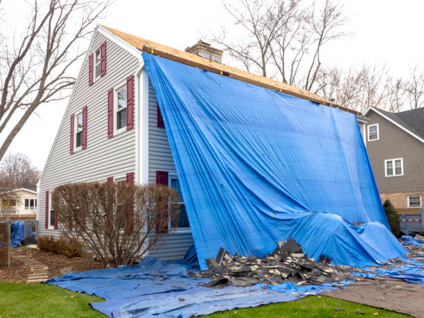 Best Shed Removal  in Hesston, KS